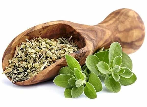 تصویر 1 از فروش گیاه دارویی بادرنجبویه + قیمت خرید به صرفه